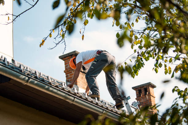 Best Flat Roof Repair Services  in Bazon, CA