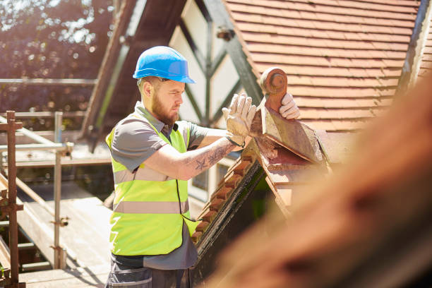 Best Roof Gutter Cleaning  in Bazon, CA
